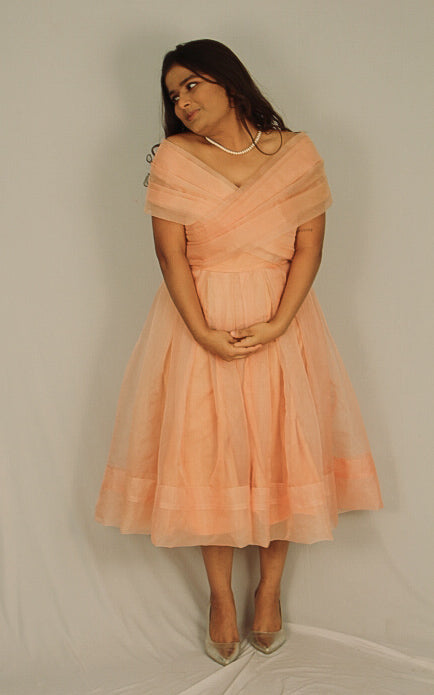 Vintage Organza Dress